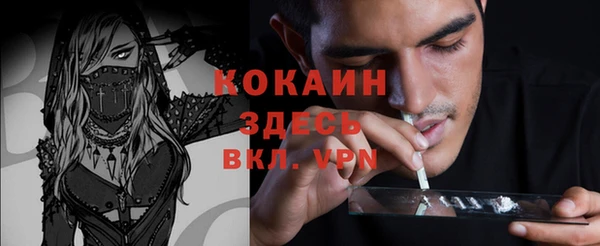 гидра Козловка