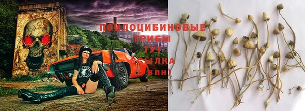 spice Кодинск