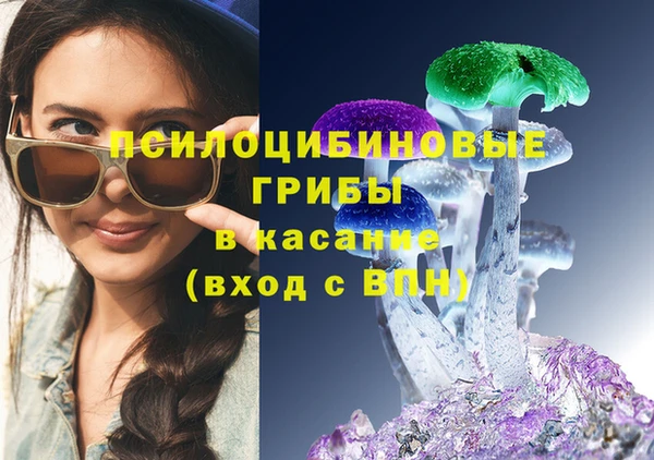 дурь Козельск
