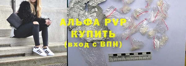 стафф Карпинск