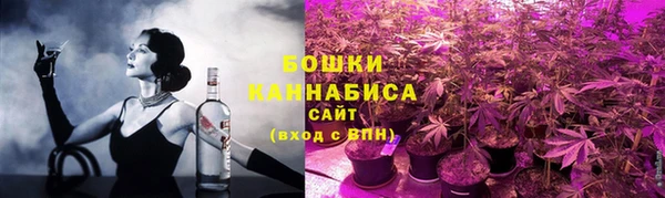 стафф Карпинск